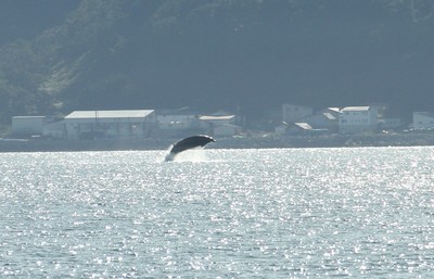 IMG_0357.jpg