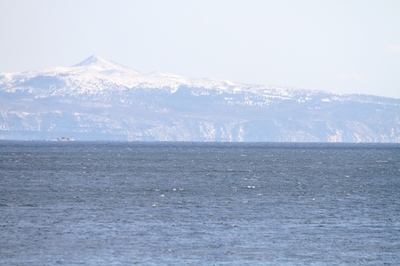 IMG_0664.jpg