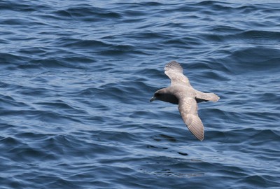 IMG_0701.jpg