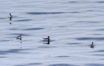 IMG_0827.jpg