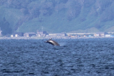 IMG_111621.jpg