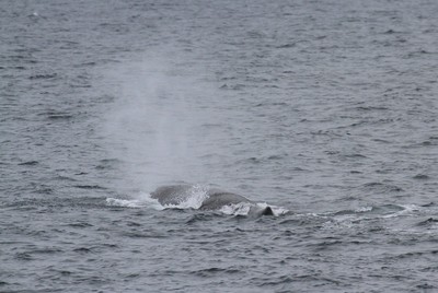 IMG_1296.jpg