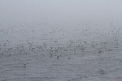 IMG_1407.jpg