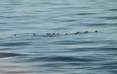 IMG_1476.jpg