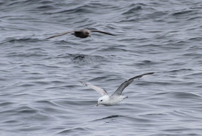 IMG_1526.jpg
