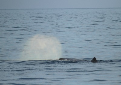 IMG_1576.jpg