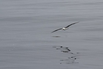 IMG_1672.jpg