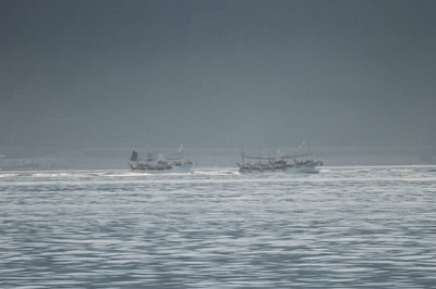 IMG_1698.jpg