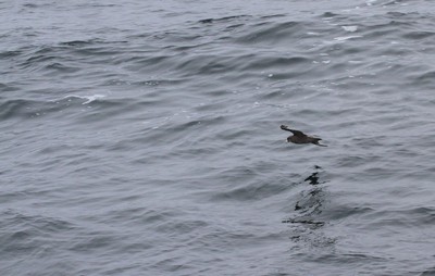 IMG_1778.jpg