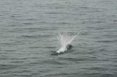 IMG_1857.jpg