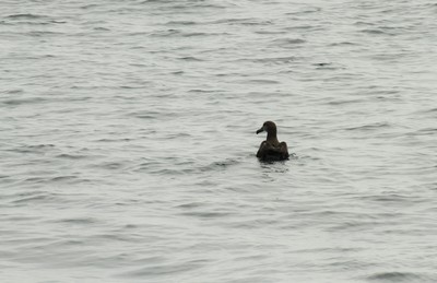 IMG_1893.jpg