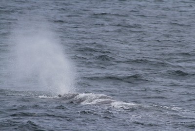 IMG_1926.jpg