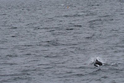 IMG_1959.jpg