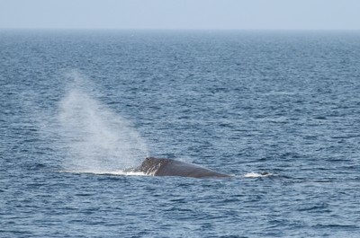 IMG_1962.jpg