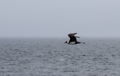 IMG_1978.jpg