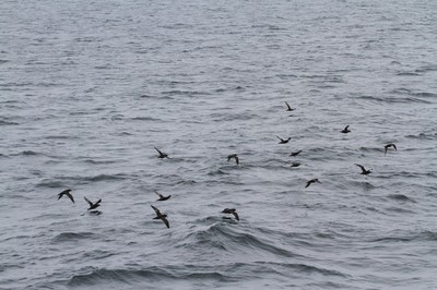 IMG_1984.jpg