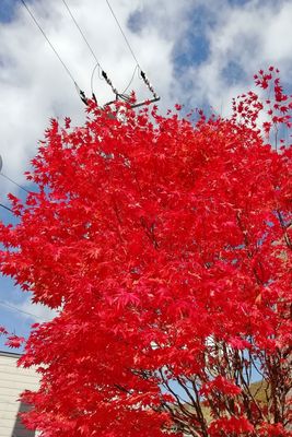 IMG_20181022_095924.jpg