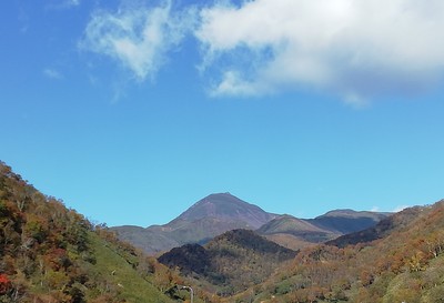 IMG_20181022_100217.jpg