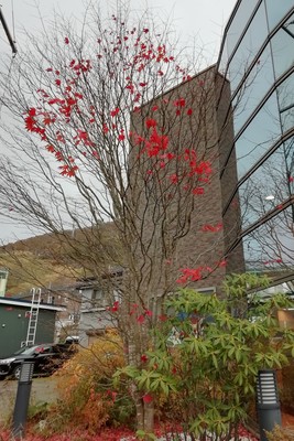 IMG_20181029_091653.jpg
