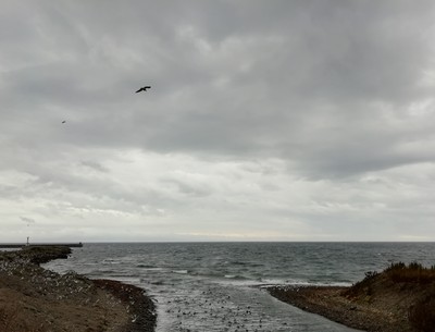 IMG_20181029_092259.jpg