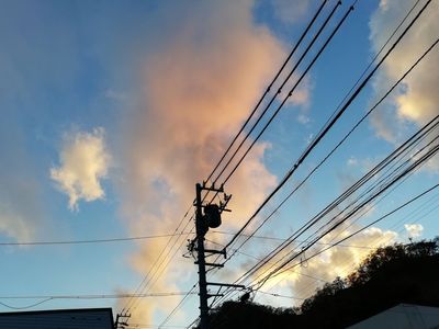 IMG_20181029_160228.jpg