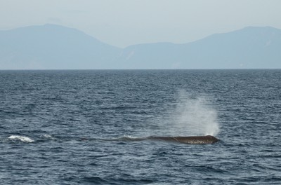 IMG_2067.jpg