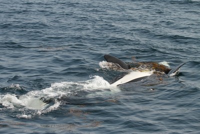 IMG_2079.jpg