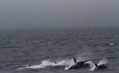 IMG_2209.jpg