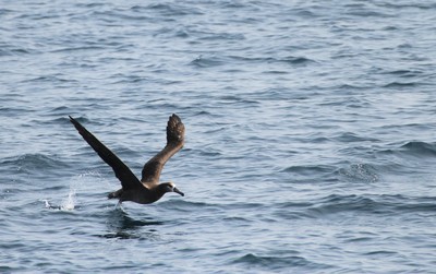 IMG_2266.jpg