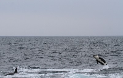 IMG_2284.jpg