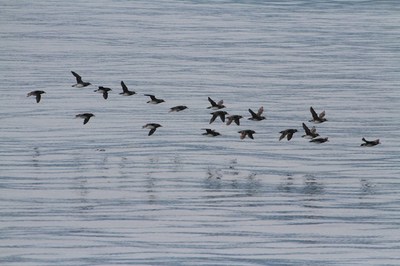 IMG_2285.jpg