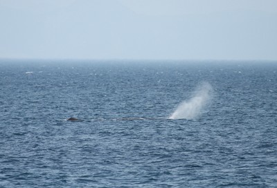 IMG_2404.jpg