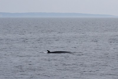 IMG_2492.jpg