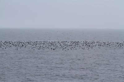 IMG_2645.jpg