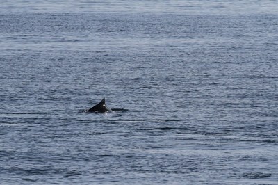 IMG_2666.jpg