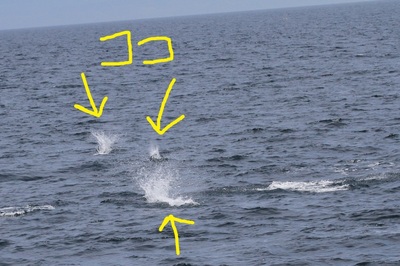 IMG_2720.jpg