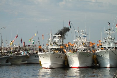IMG_2725.jpg