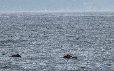 IMG_2735.jpg