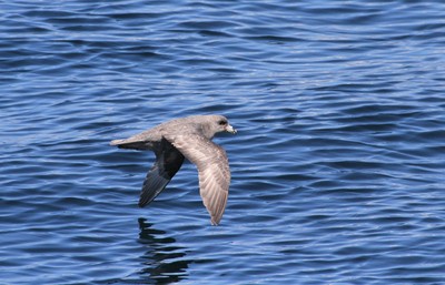IMG_2781.jpg