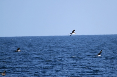 IMG_2817.jpg