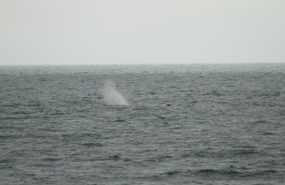 IMG_2876.jpg
