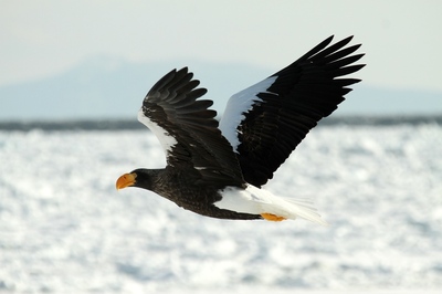 IMG_2883.jpg
