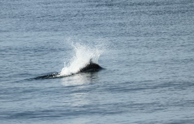 IMG_2889.jpg