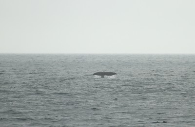 IMG_2915.jpg
