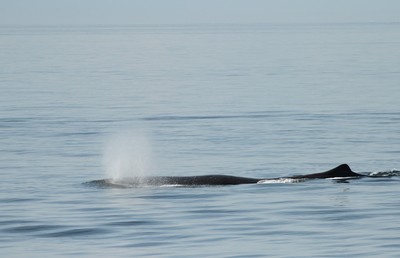 IMG_2972.jpg