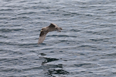 IMG_3023.jpg