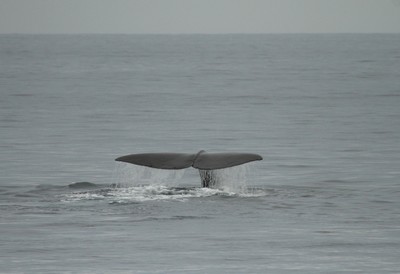 IMG_3243.jpg