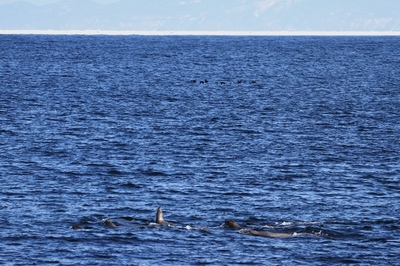 IMG_3259.jpg