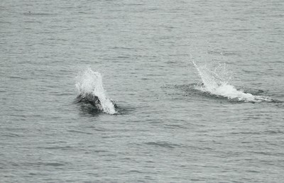 IMG_3359.jpg