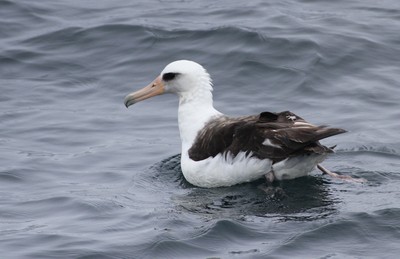 IMG_3370.jpg